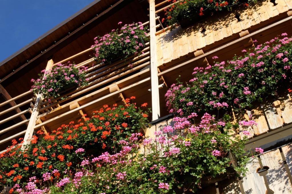 Albergo Centrale Forni di Sopra Exterior foto